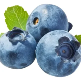 Arándanos Grandes Estuche 500 gr